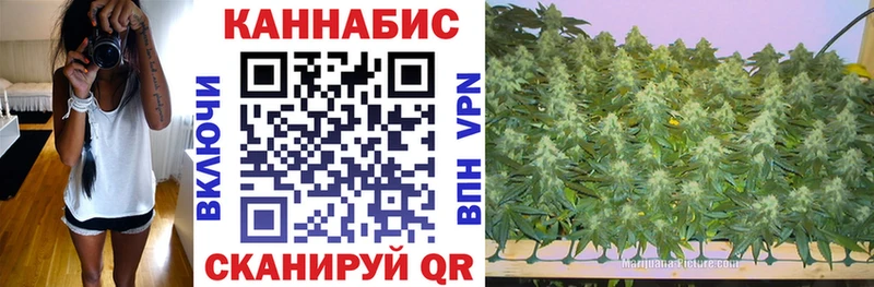 Марихуана гибрид  Шахунья 
